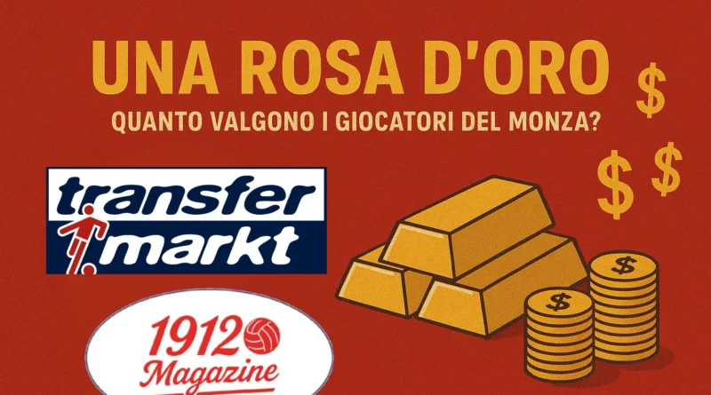 Analisi del valore della rosa del Monza calcio secondo i dati di Transfermarkt.